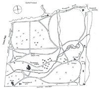 Distribution of Spring and Rare Plants in Alexandria Park (Peterhof)